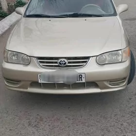 Toyota Corolla 2000