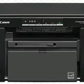 Pirintr 3010