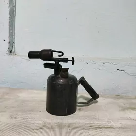 paPayalnik