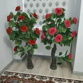 Gül bar 2sany