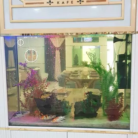Aqwarium Аквариум