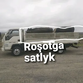 forland roşotga