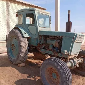 MTZ 80 2008