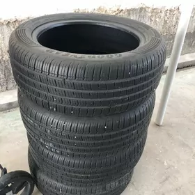 teker pakrisga