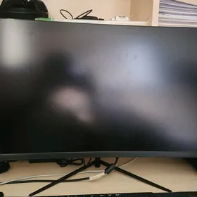 Monitor