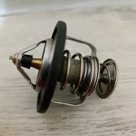 Termostat