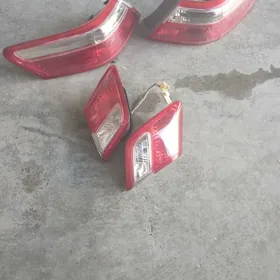 stopnik