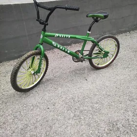 TIGIR 20LIK DISKALY