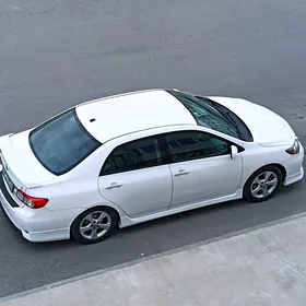 COROLLA KRYŚA REZIN