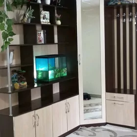 prihoşka ,прихожая,прихошка