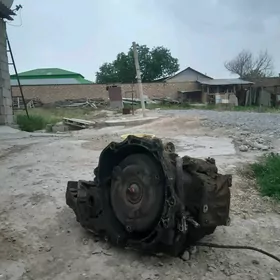 Aftamad koropka
