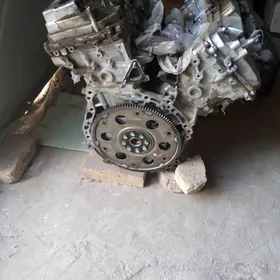 Haylander Mator 3.5