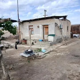 zoton daça