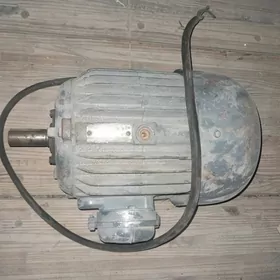 elektrodwigatel