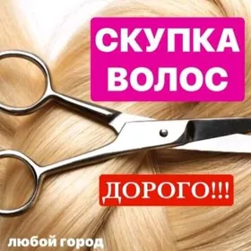 купим волосы срезы дорого