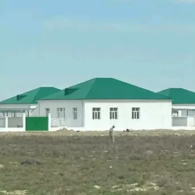 kor cay 3 kom anew