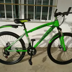 tigir turkmenistan paket