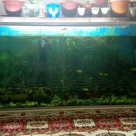 Аквариум 450л