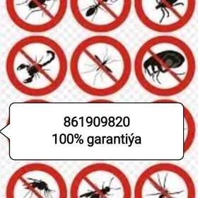 Tagta bit дезинфекция