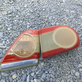 Carolla fara