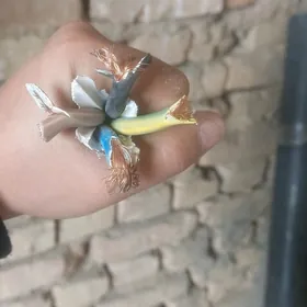 Tok Kabel 4 faza