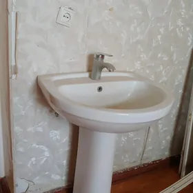 раковины