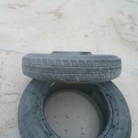 Karolla zapaska tigir