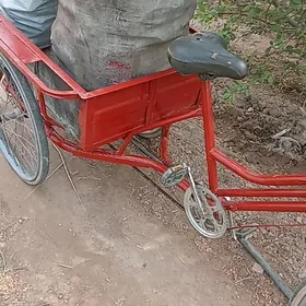 сатлык велик