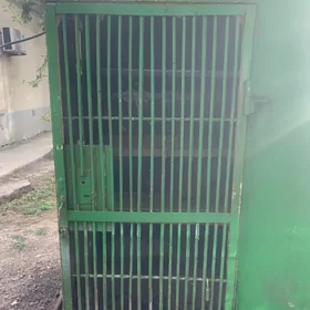 Бутка голубятник