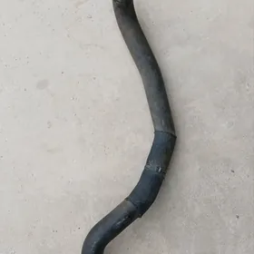 Patrubka