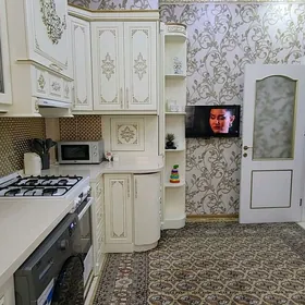 satlyk  jaÿ taslama