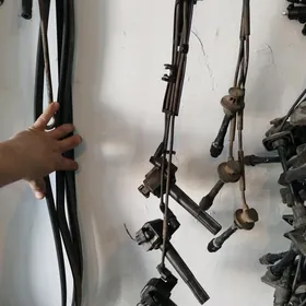 Katuşka morda