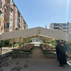 Palatka satlyk