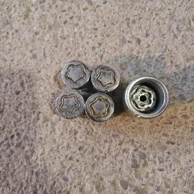 sekretko bolt kia