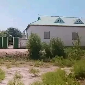 TAZE JAY ZAMAN OVA