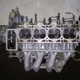 газел
