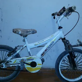 Welosapet
