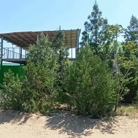 Eýesinden satlyk jaý