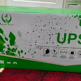 UPS