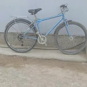 Yapoşga tigit