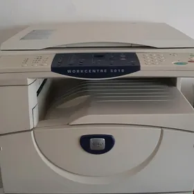 printer Xerox 5016