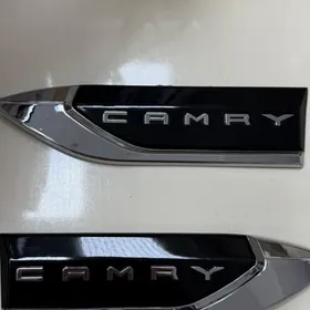 Camry znacok krylo gapy