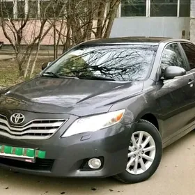 le parok  okuz kelle