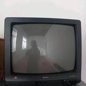 Telewizor