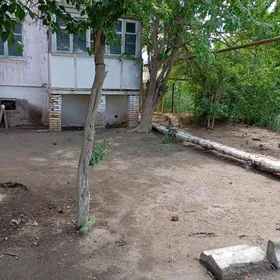 Satlyk.jaý