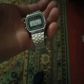 casio sagat