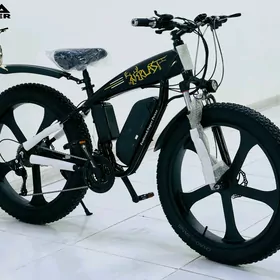 TIGIR SAMAKAT BASEYKA GONCYK