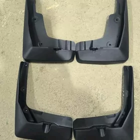 Brazgawik Camry15-17
