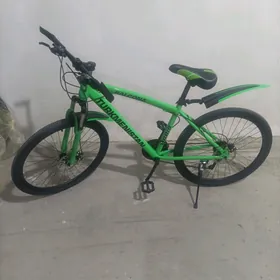 Turkmenistan tigir