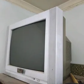 Swetnoý telewizor